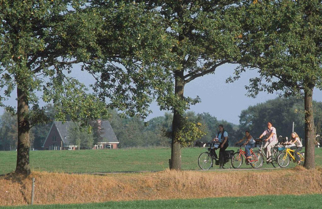 Camping Het Wieskamp Henxel エクステリア 写真